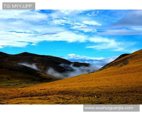 景菡一的成长之路与人生哲学探讨:从青涩到成熟的心灵旅程